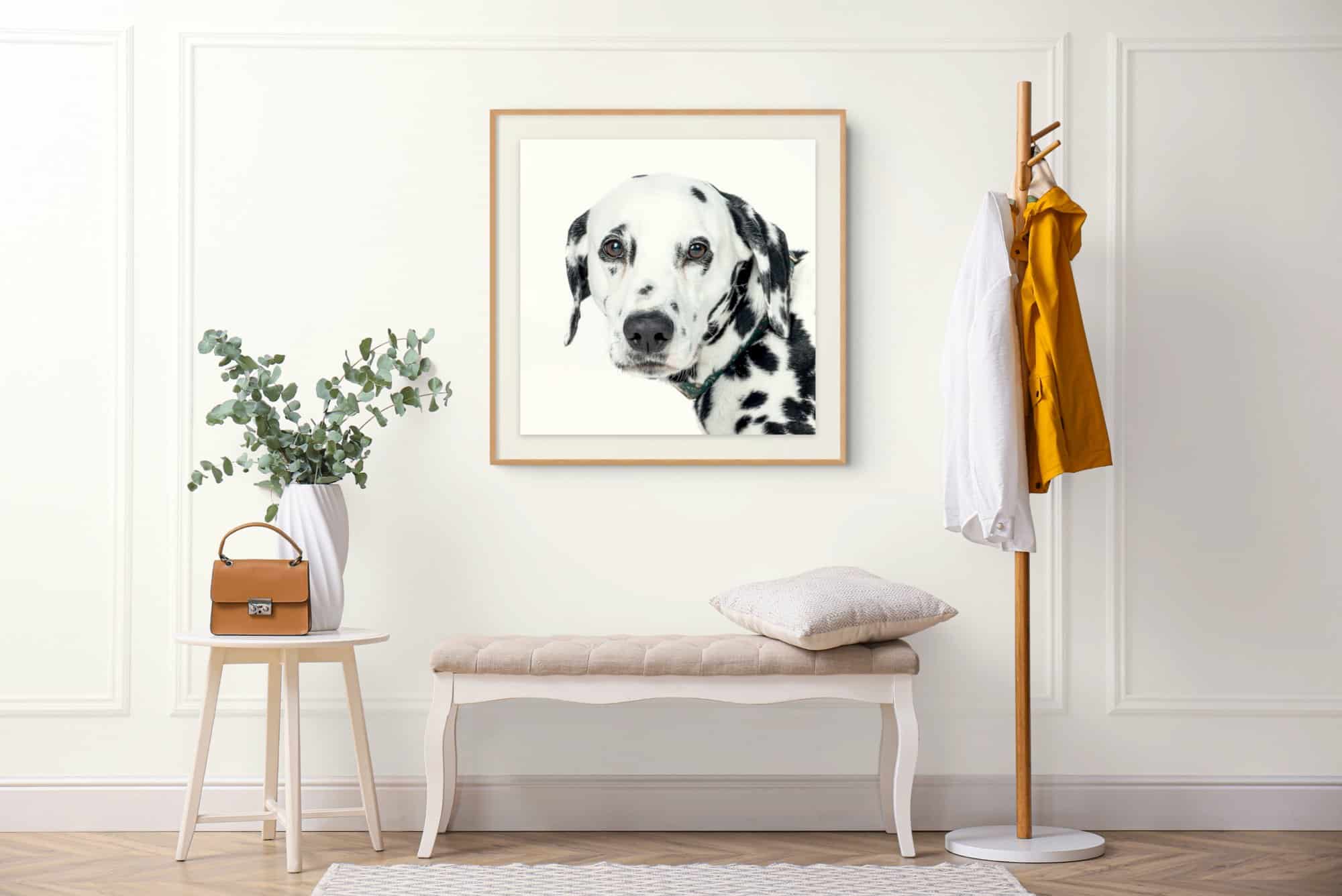 Dalmatiner-Portrait als gerahmtes Wandbild im Flur